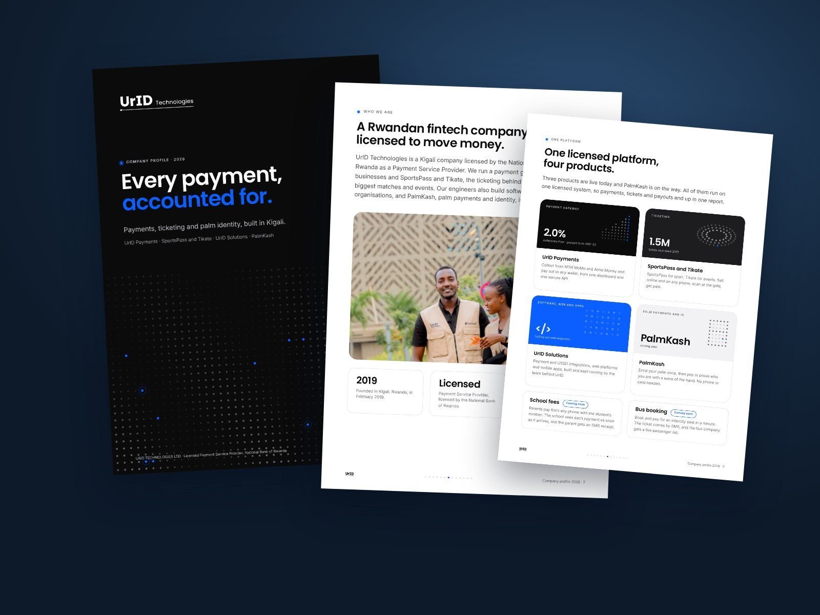 Company profile, 14 pages